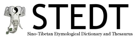 STEDT Logo